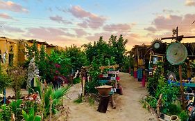 Bedouin Lodge Luxor